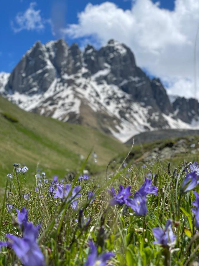 Aura Cottages Kazbegi Esterno foto